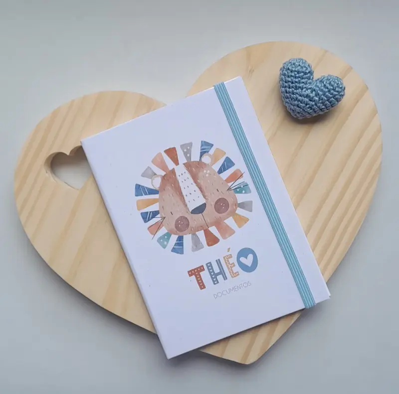 Mini Porta-documentos Menino - Escolha a Capa (link na descrição)